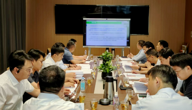 河南周口全钒液流电池储能装备新质造项目可行性研究报告评审会召开