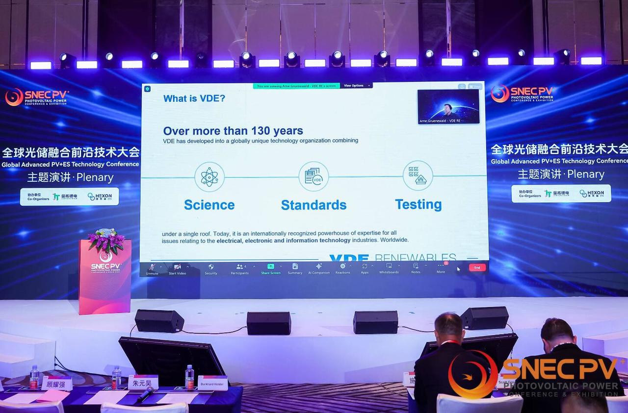 VDE储能专家Arne Grünewald：欧洲储能最新政策解读