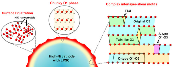 金属所等揭示全固态锂电正极材料原子尺度失效机制