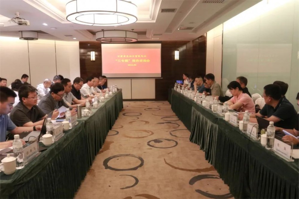 甘肃黄龙抽水蓄能电站项目“三专题”报告咨询会顺利召开