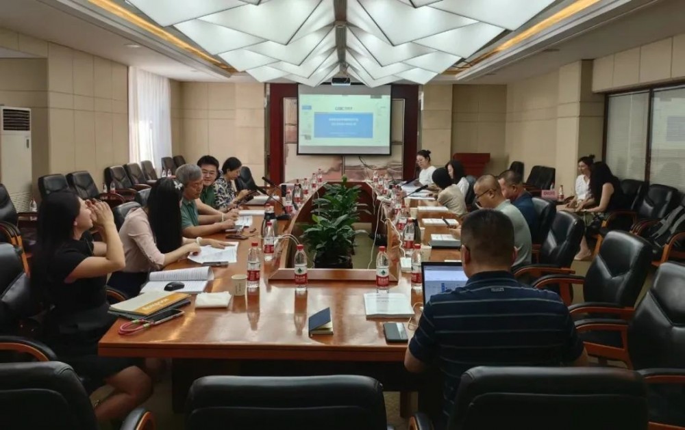 新疆若羌抽水蓄能电站工程接入系统设计报告顺利通过审查