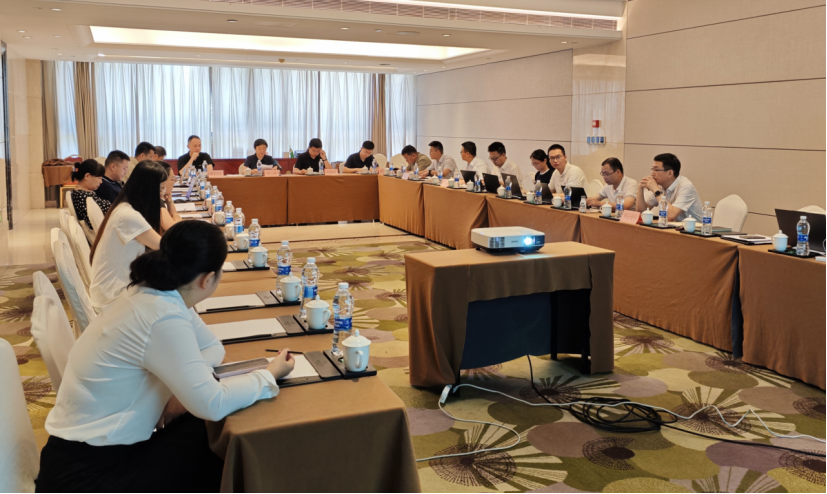 浙江松阳抽水蓄能电站接入系统设计报告评审会顺利召开